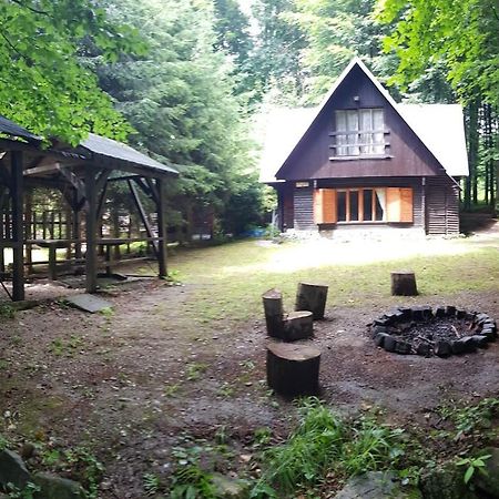Slovak Cottage Near Bratislava In The Heart Of The Carpathians Modra Zewnętrze zdjęcie