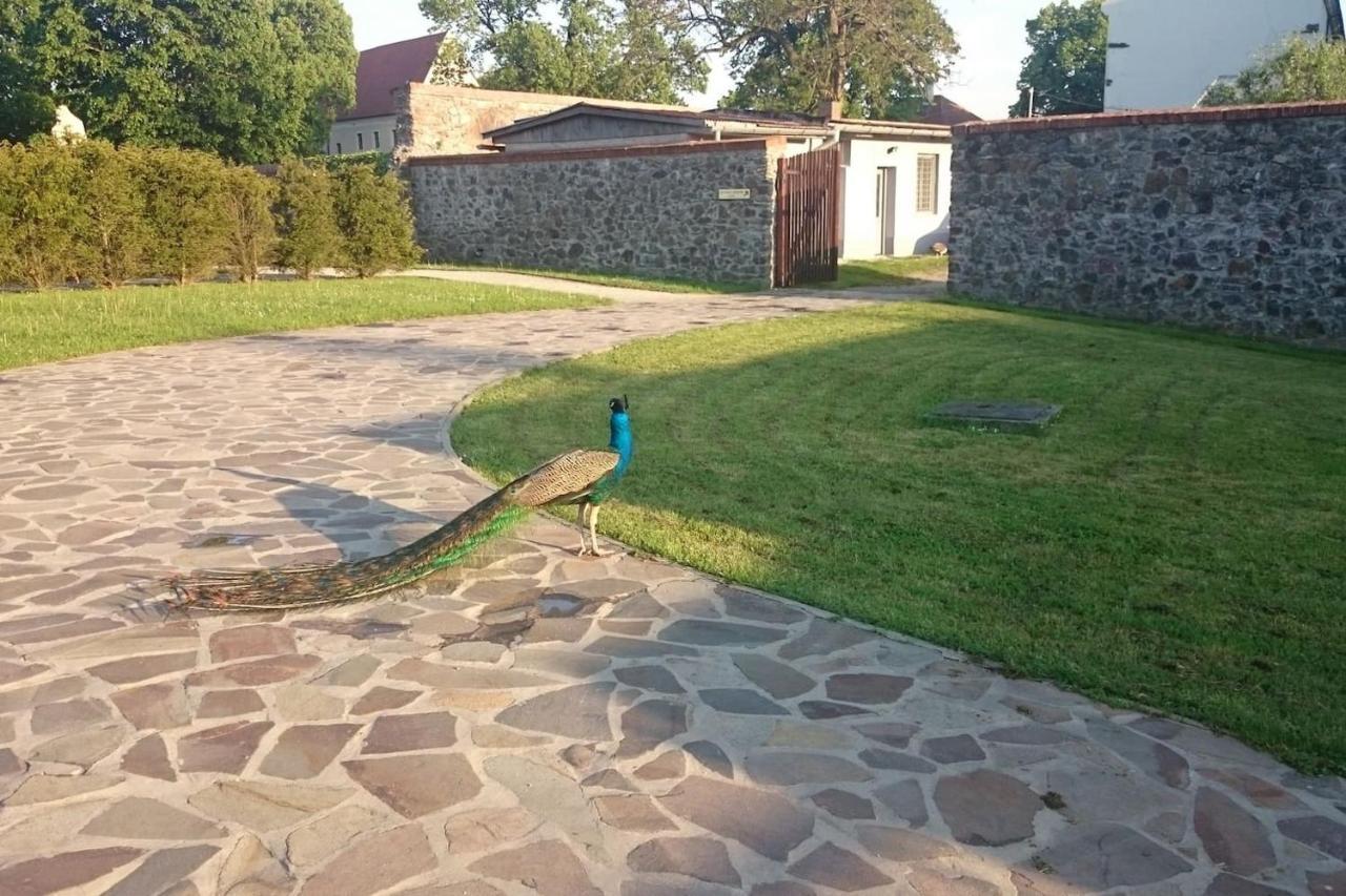 Slovak Cottage Near Bratislava In The Heart Of The Carpathians Modra Zewnętrze zdjęcie