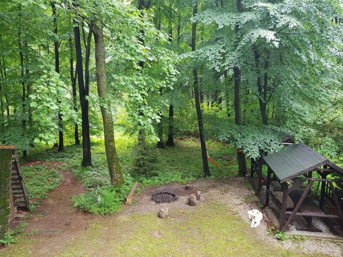 Slovak Cottage Near Bratislava In The Heart Of The Carpathians Modra Zewnętrze zdjęcie