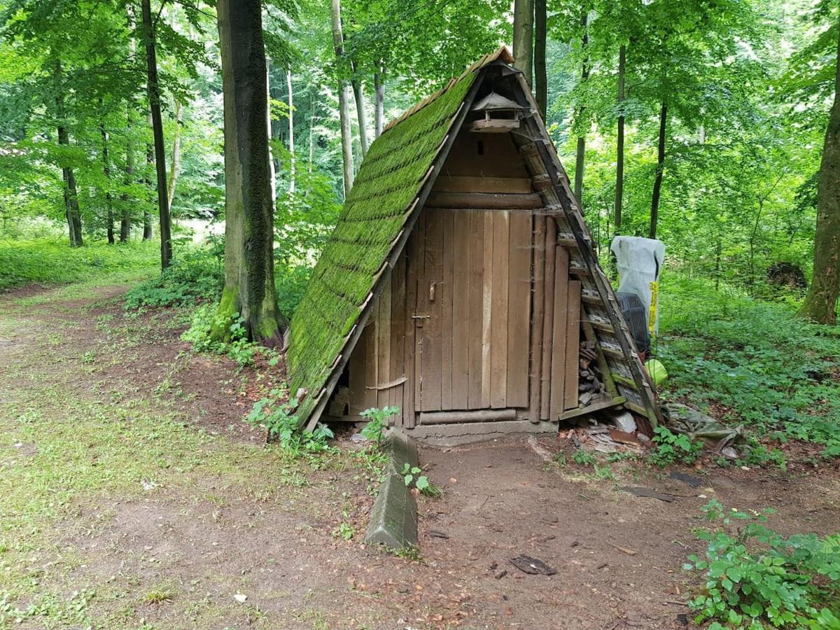 Slovak Cottage Near Bratislava In The Heart Of The Carpathians Modra Zewnętrze zdjęcie