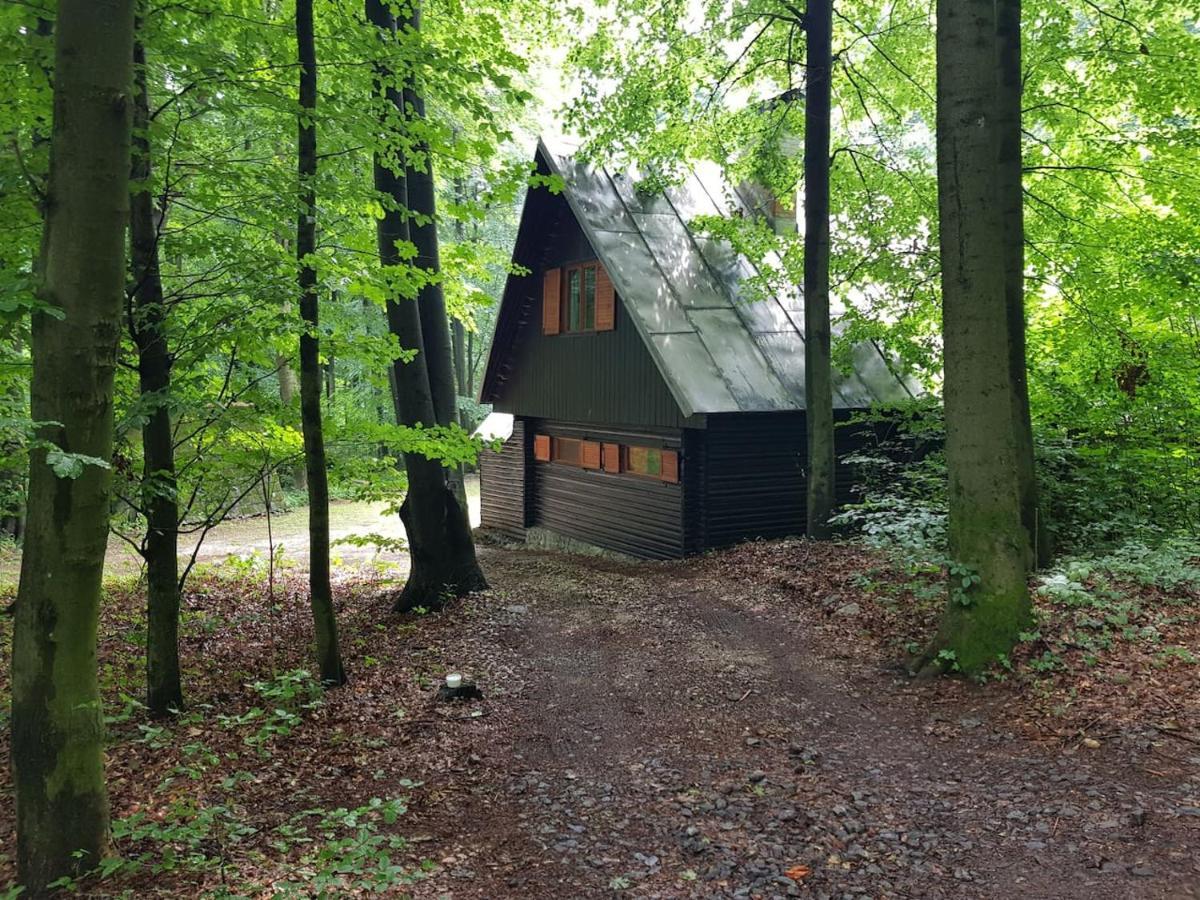 Slovak Cottage Near Bratislava In The Heart Of The Carpathians Modra Zewnętrze zdjęcie