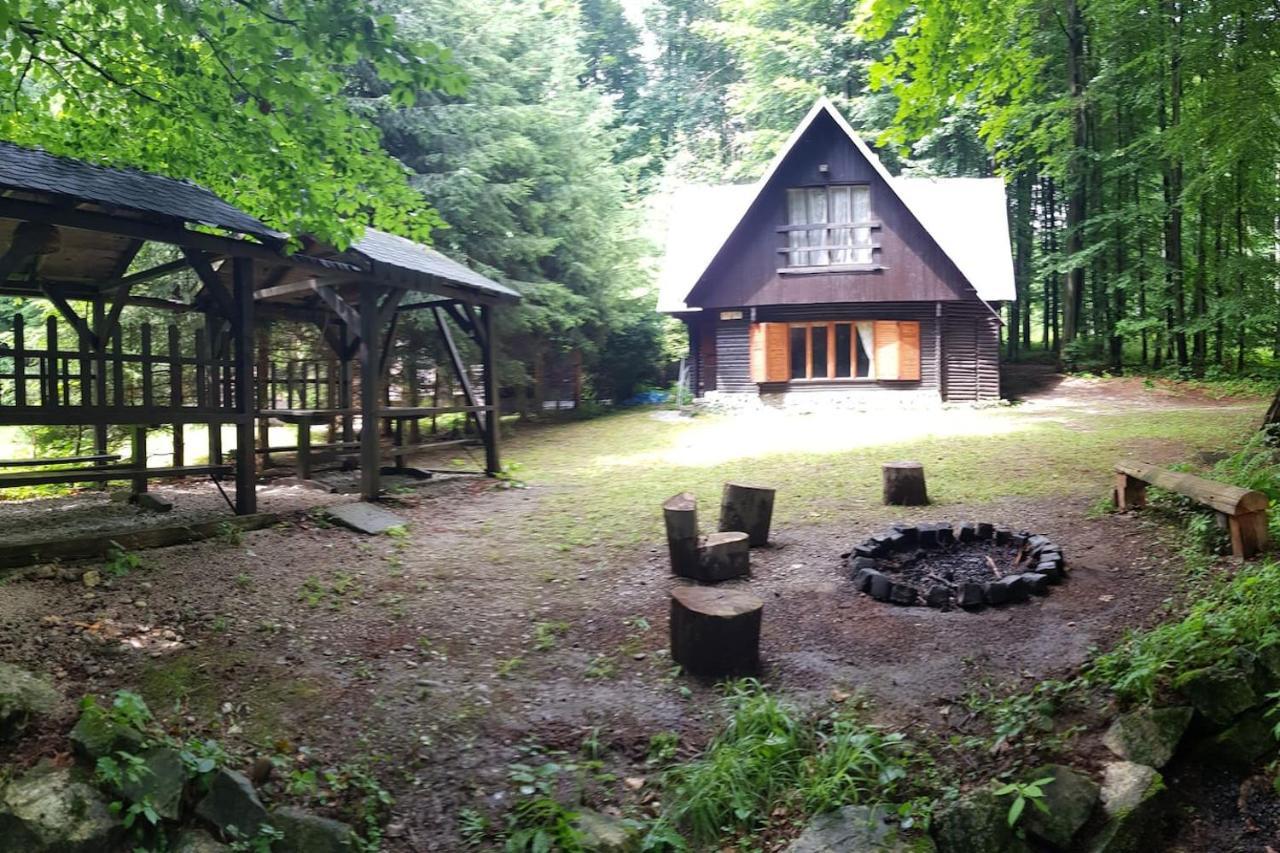 Slovak Cottage Near Bratislava In The Heart Of The Carpathians Modra Zewnętrze zdjęcie